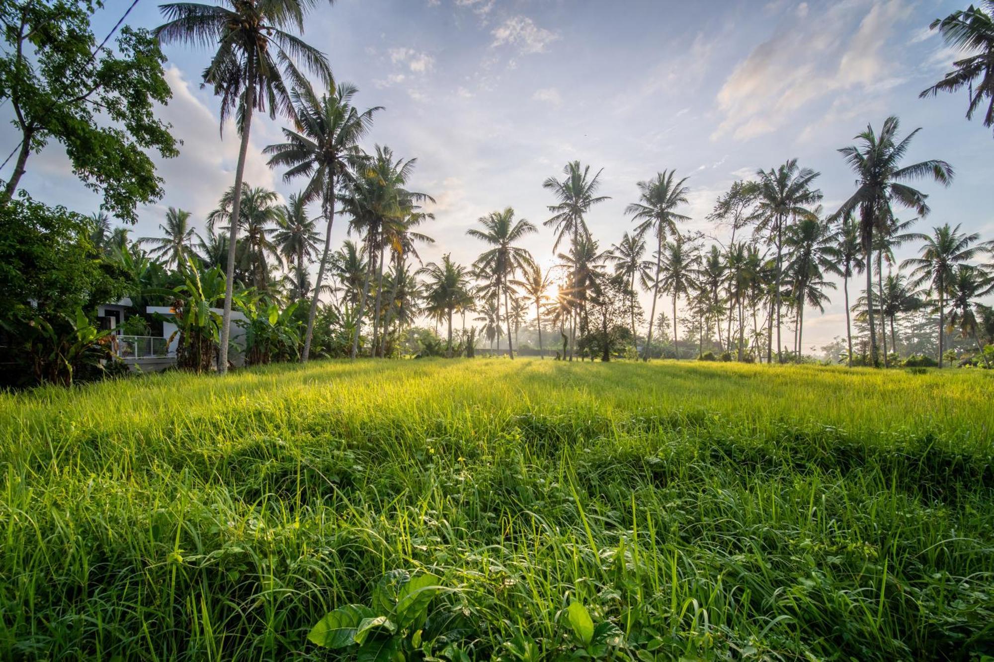 Casa Estrella - Luxe In Ubud Kültér fotó